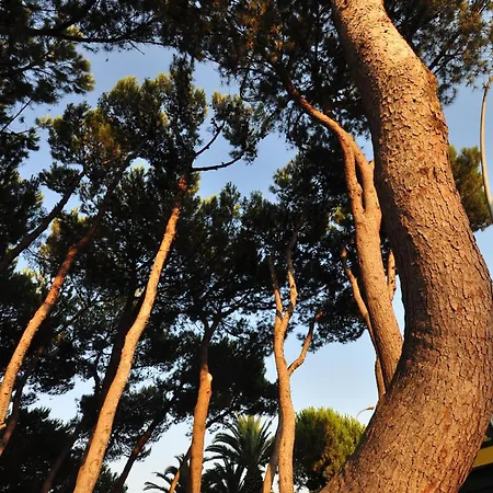 Nino Vacanze 公寓式酒店 阿尔巴·阿德里亚蒂卡