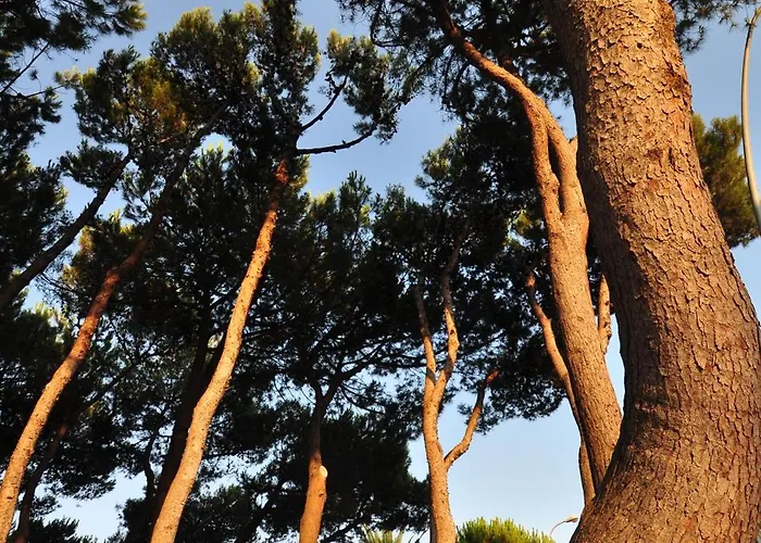 Nino Vacanze Aparthotel Alba Adriatica